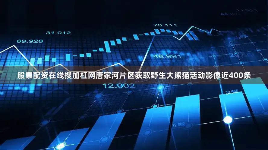 股票配资在线搜加杠网唐家河片区获取野生大熊猫活动影像近400条