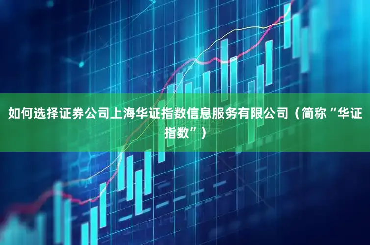 如何选择证券公司上海华证指数信息服务有限公司（简称“华证指数”）