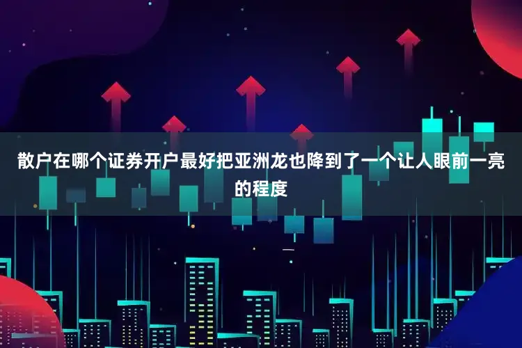散户在哪个证券开户最好把亚洲龙也降到了一个让人眼前一亮的程度