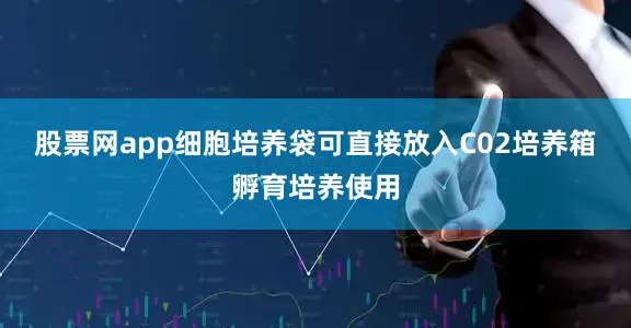 股票网app细胞培养袋可直接放入C02培养箱孵育培养使用