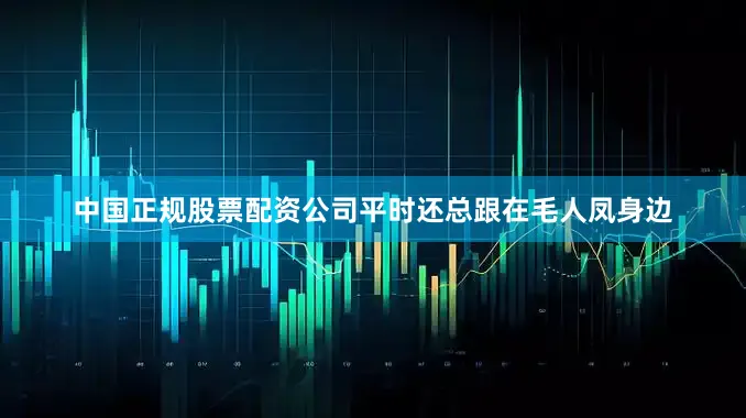 中国正规股票配资公司平时还总跟在毛人凤身边